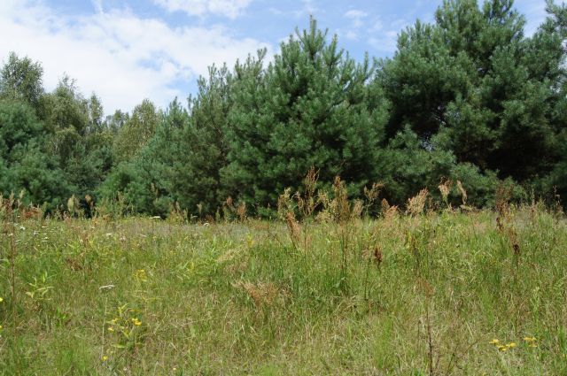 Działka budowlana Nagodów. Zdjęcie 2