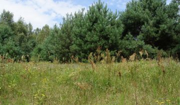 Działka siedliskowa Nagodów