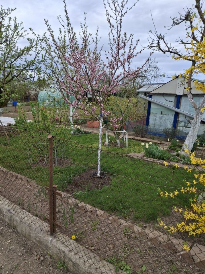 Działka rod Słupsk. Zdjęcie 2