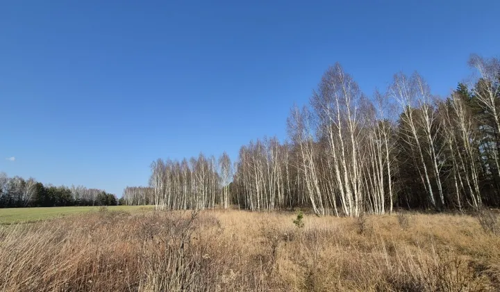 Działka leśna Dębowce