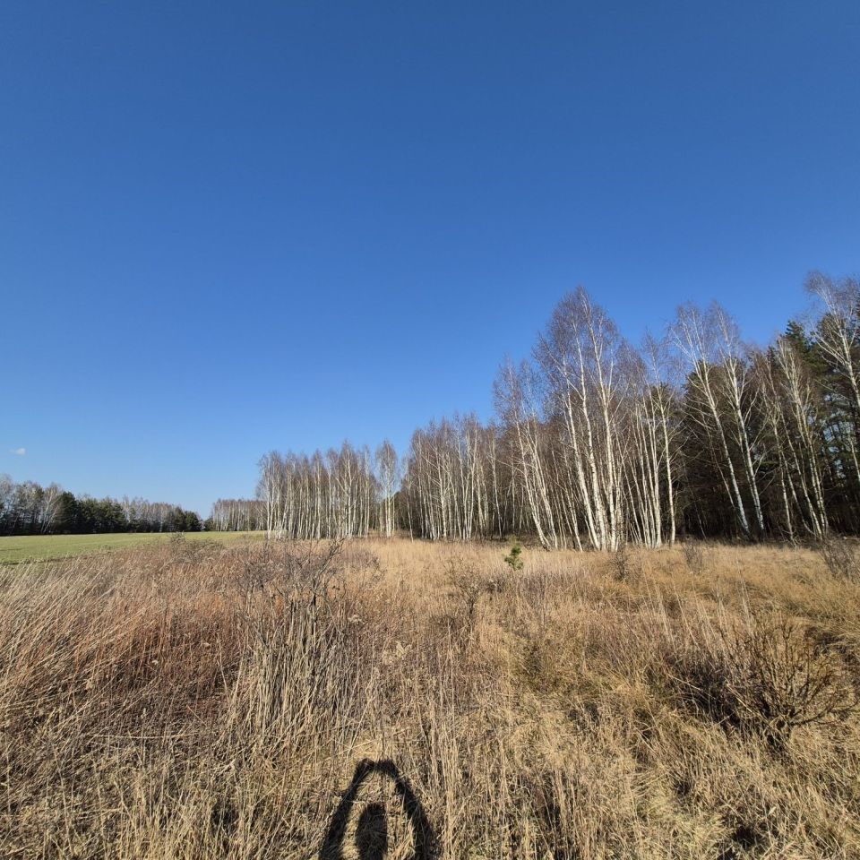 Działka leśna Dębowce. Zdjęcie 1