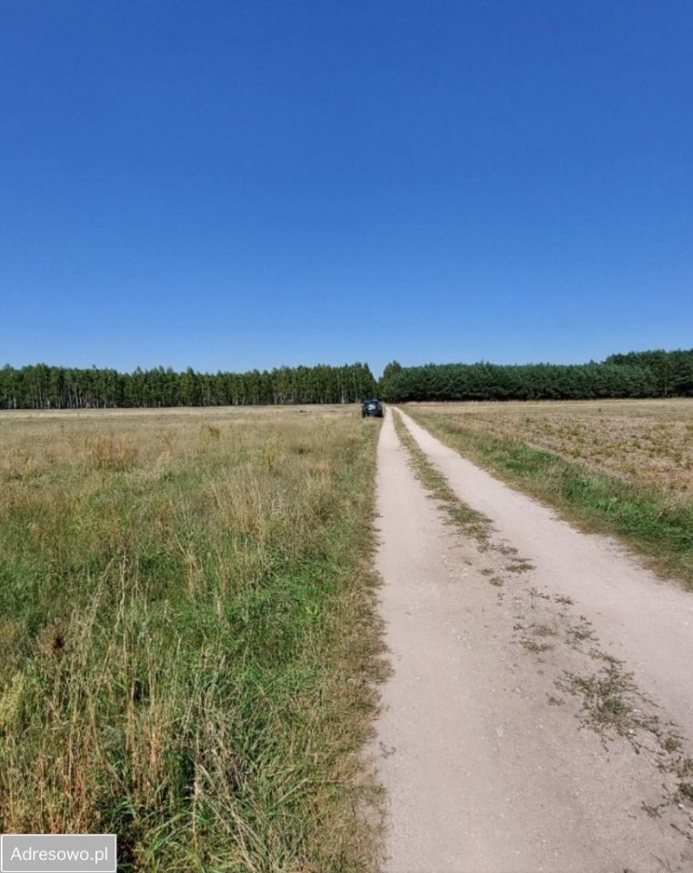 Działka rolno-budowlana Wrzeczko. Zdjęcie 3