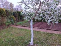 Działka rod Rypin. Zdjęcie 2