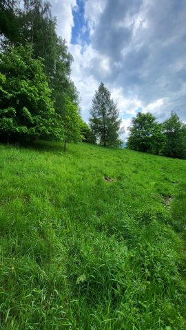 Działka budowlana Rościszów. Zdjęcie 1