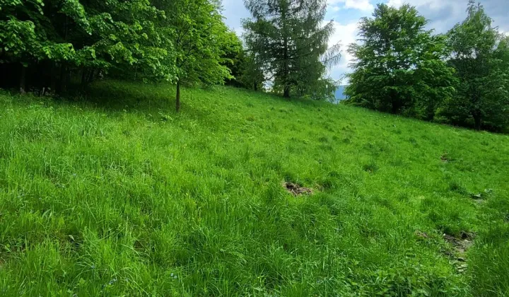 Działka budowlana Pieszyce Rościszów