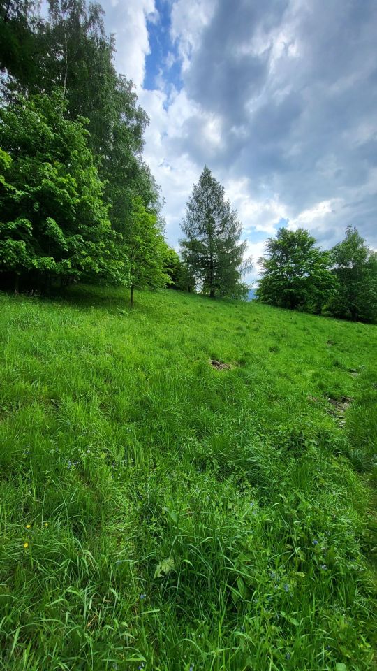 Działka budowlana Rościszów