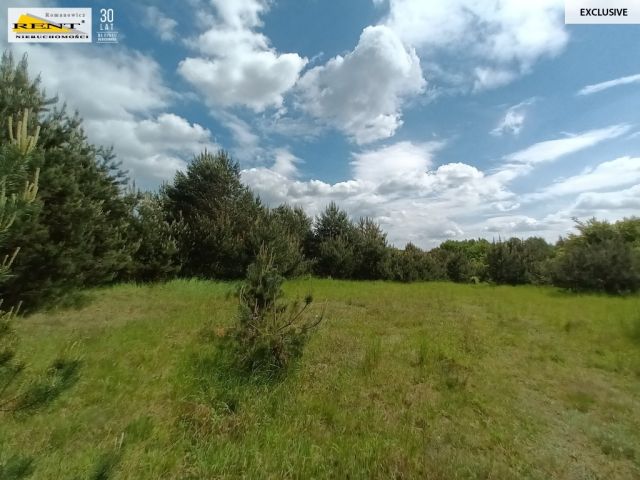 Działka rolna Binowo. Zdjęcie 8