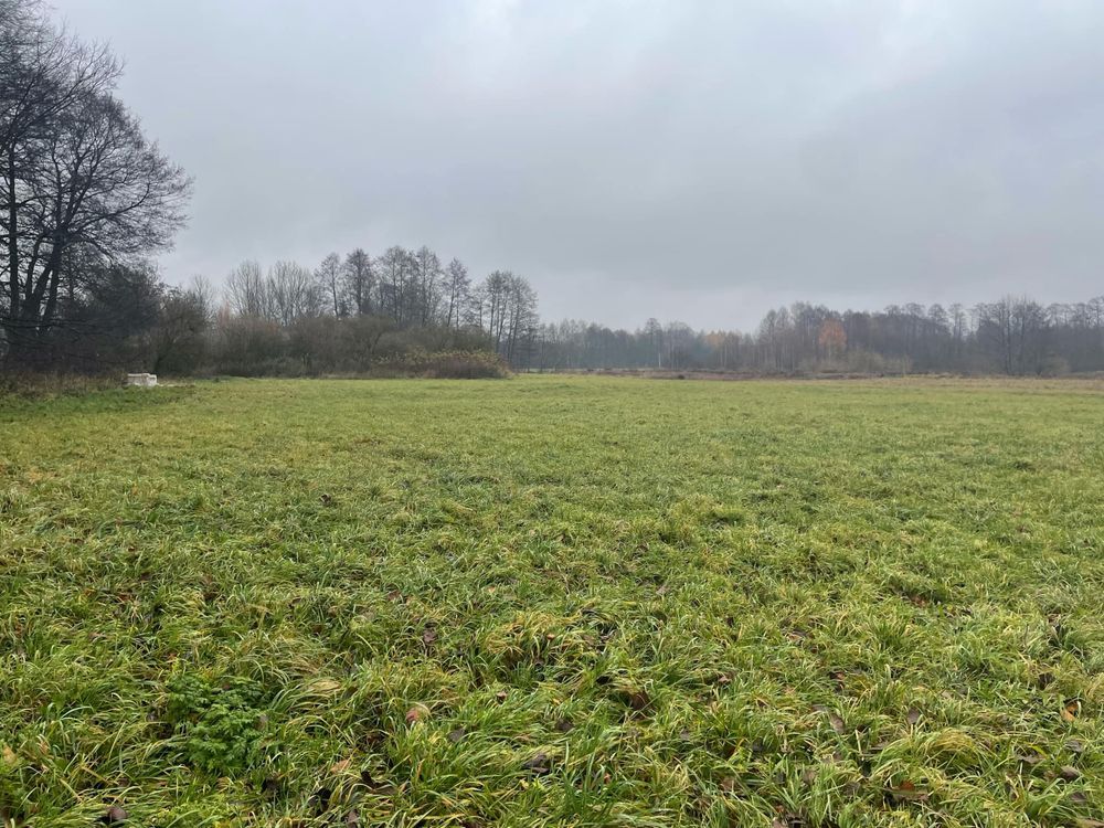 Działka budowlana Grodzisko. Zdjęcie 2