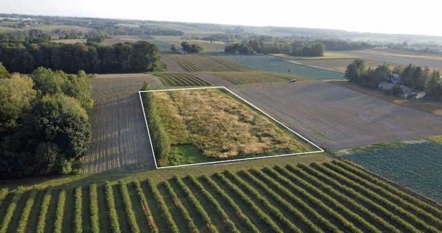 Działka inna Bronice-Kolonia. Zdjęcie 1