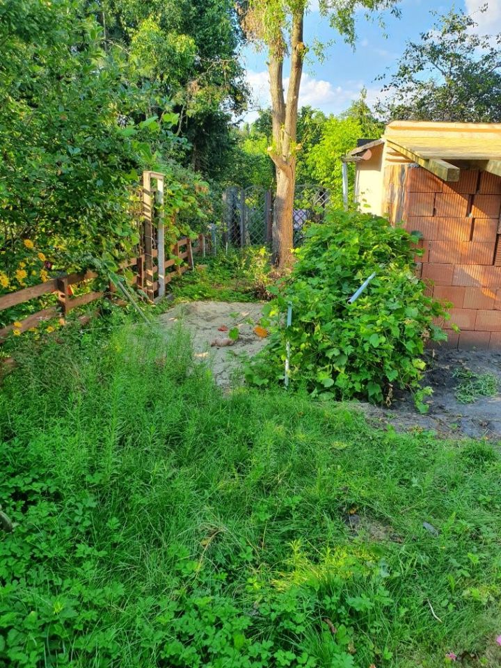 Działka rod Łódź Polesie. Zdjęcie 6