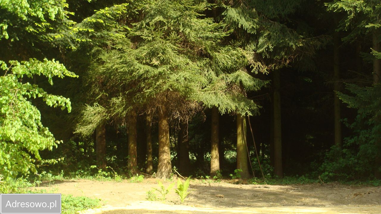 Działka rolna Domaszków, ul. Kolejowa. Zdjęcie 3