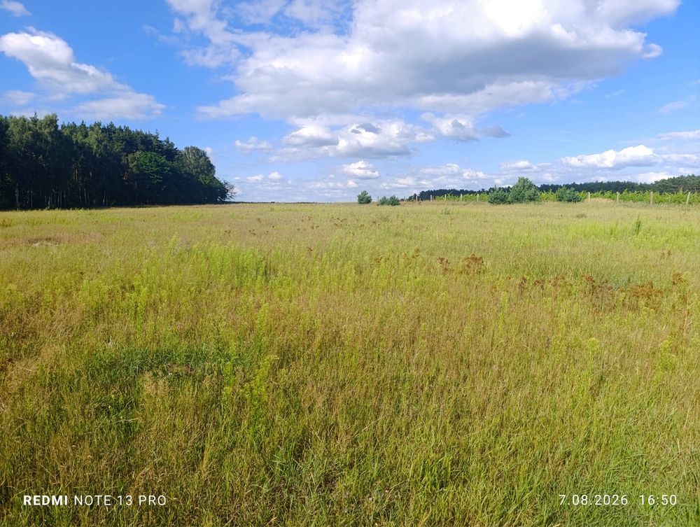 Działka budowlana Laski. Zdjęcie 6