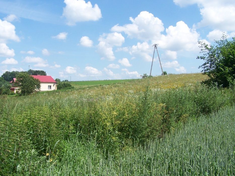 Działka rolno-budowlana Nałęczów. Zdjęcie 2