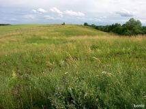 Działka rolna Chłopowo. Zdjęcie 4