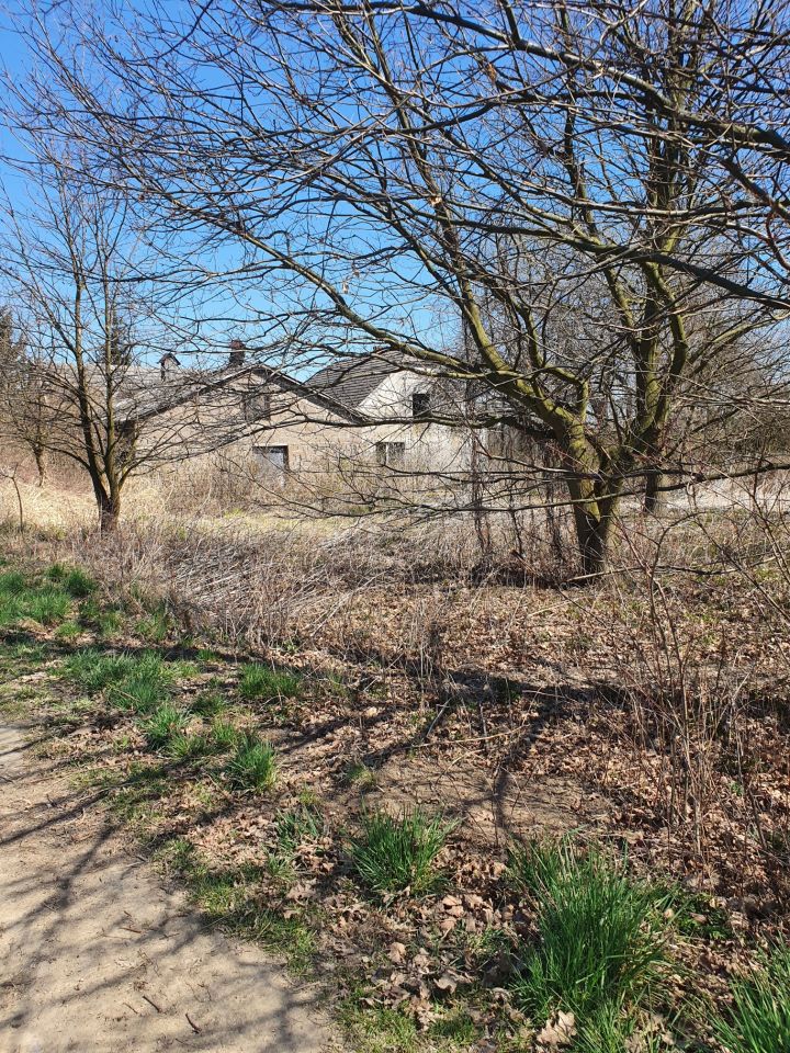 dom wolnostojący, 3 pokoje Okleśna. Zdjęcie 14