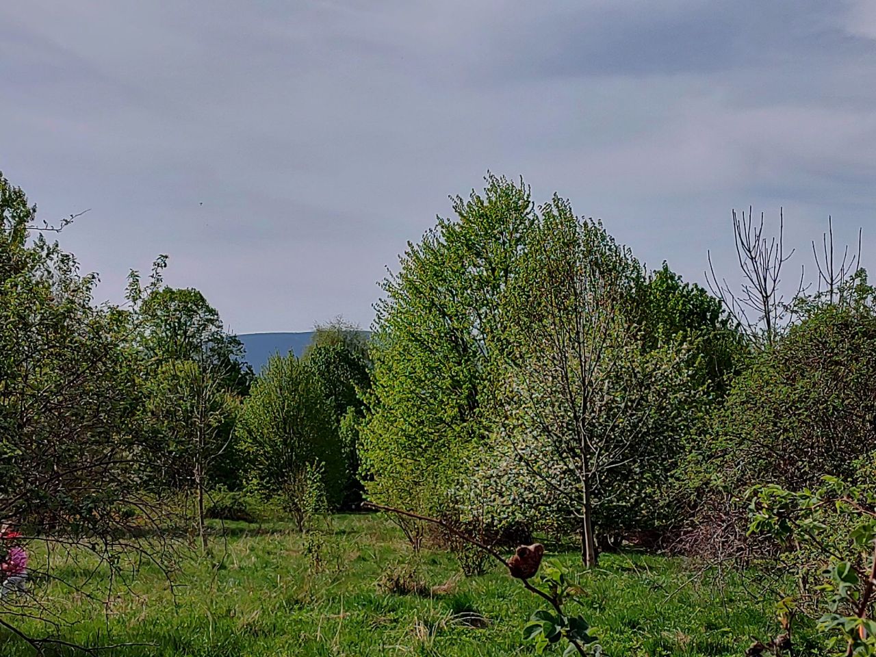 Działka budowlana Świecie Chałupska. Zdjęcie 13