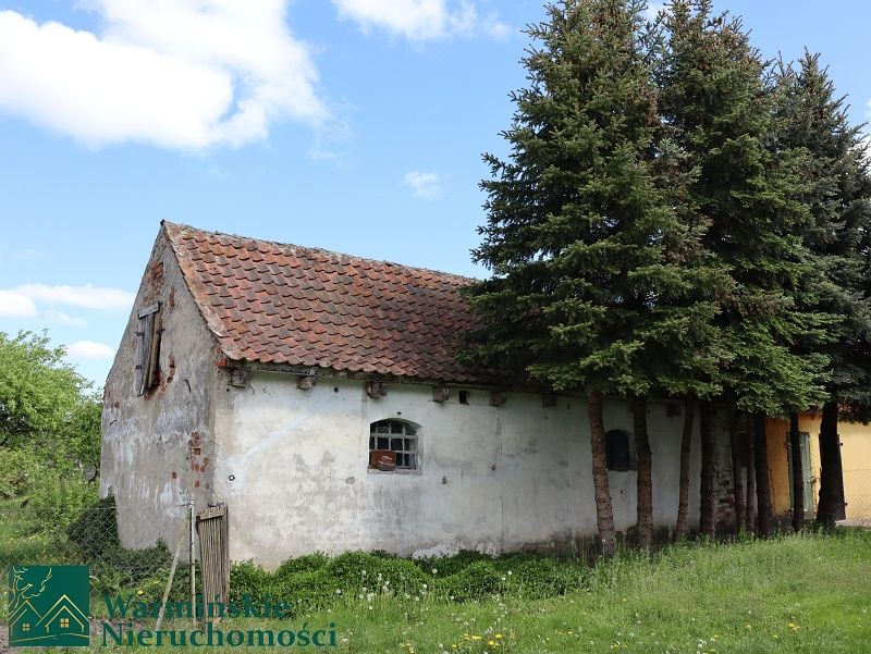 bliźniak Wirwilty. Zdjęcie 5