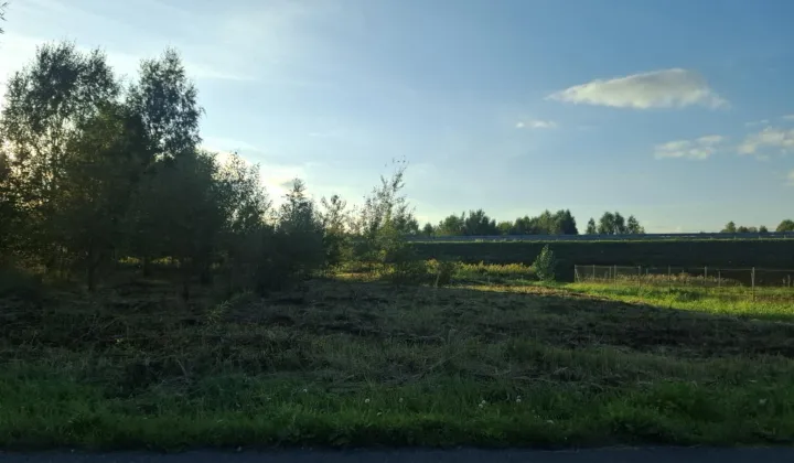 Działka rolno-budowlana Radomsko Bogwidzowy, ul. Jeżynowa