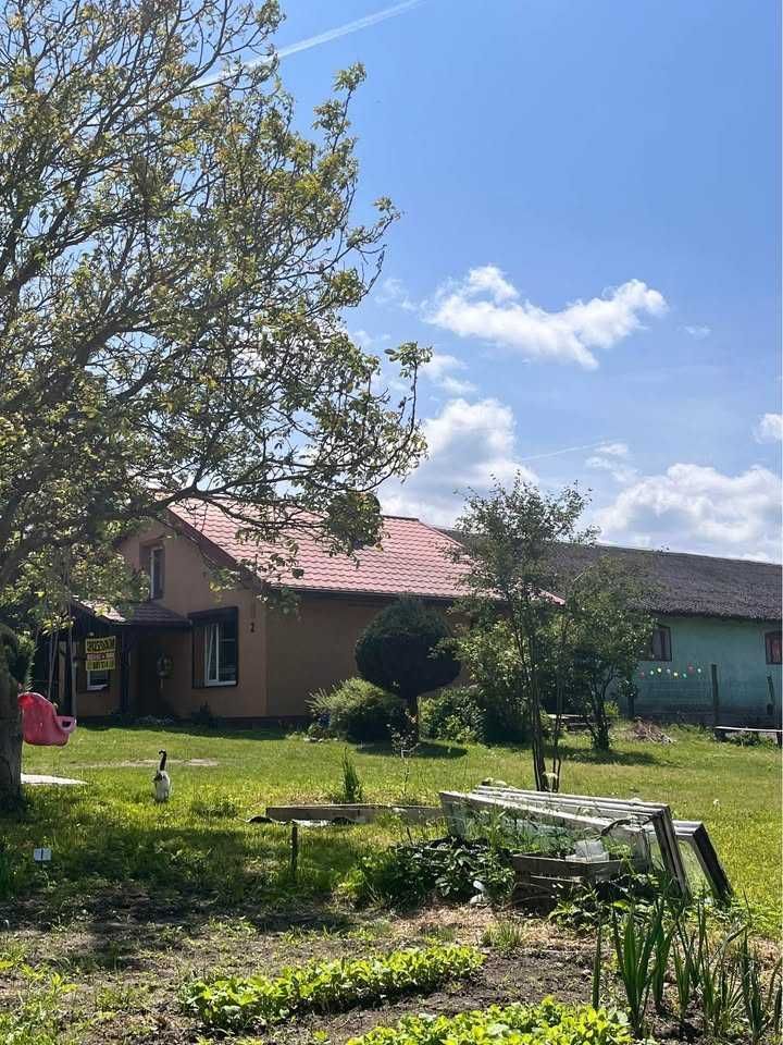 bliźniak, 2 pokoje Siecino. Zdjęcie 3