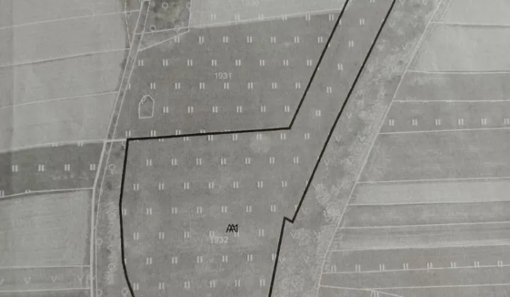 Działka rolna Dziewin