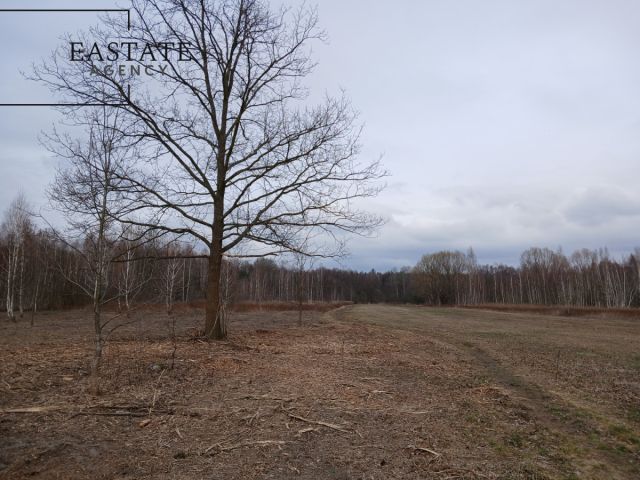 Działka budowlana Koryta. Zdjęcie 2