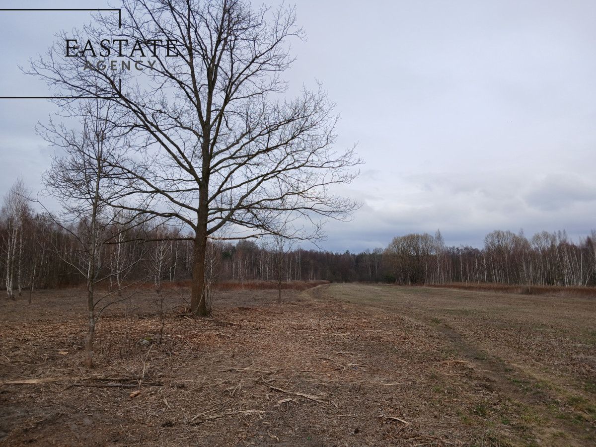 Działka budowlana Koryta. Zdjęcie 2