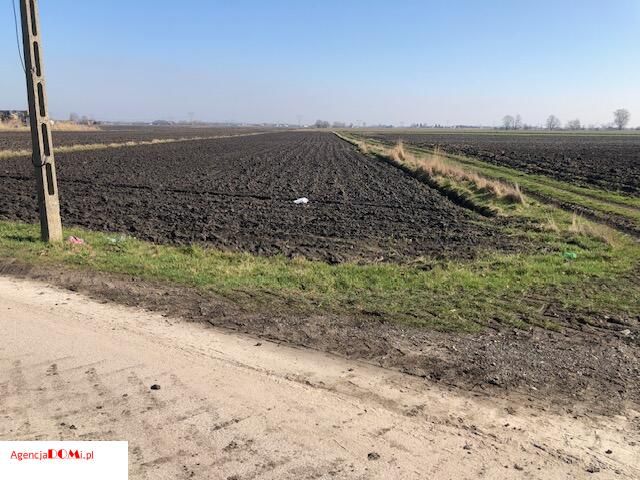 Działka budowlana Radzików. Zdjęcie 5