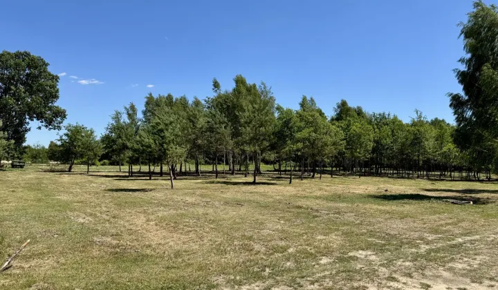 Działka budowlana Antoninów