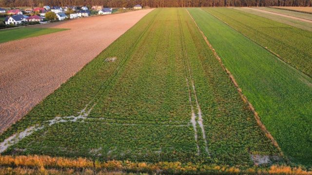 Działka budowlana Golędzinów. Zdjęcie 3
