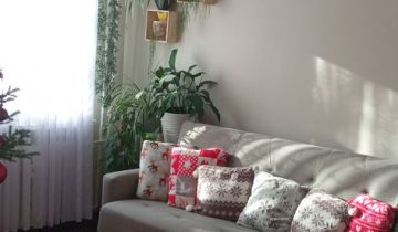 Mieszkanie 4-pokojowe Lubin