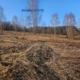 Działka rolna Szerzyny. Zdjęcie 3