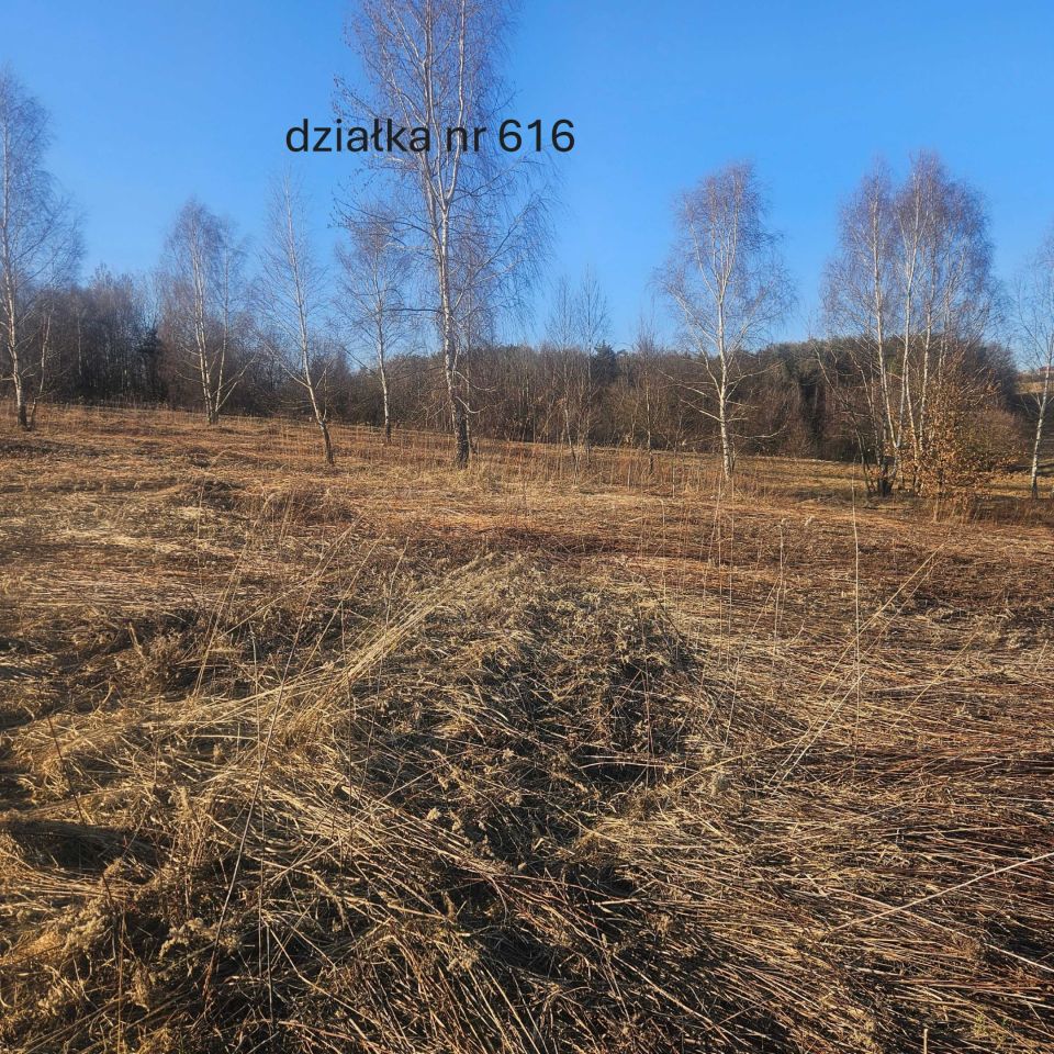 Działka rolna Szerzyny. Zdjęcie 4