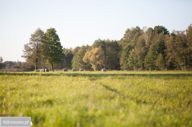 Działka budowlana Karolinów. Zdjęcie 1