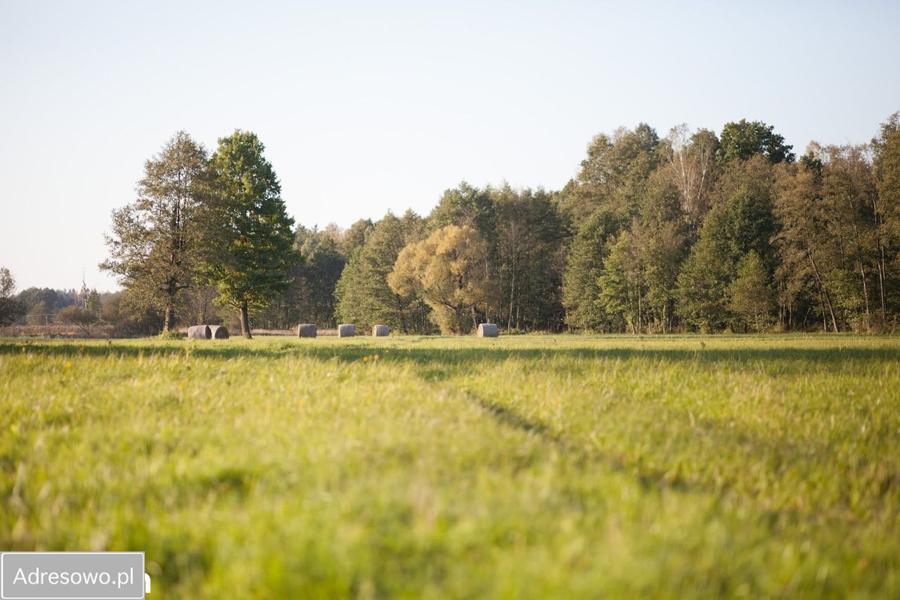 Działka budowlana Karolinów. Zdjęcie 1