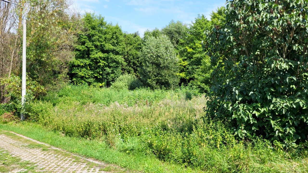 Działka budowlana Łochowice, ul. Kanałowa. Zdjęcie 6
