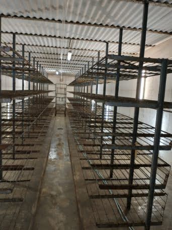 Lokal Stare Boryszewo. Zdjęcie 7