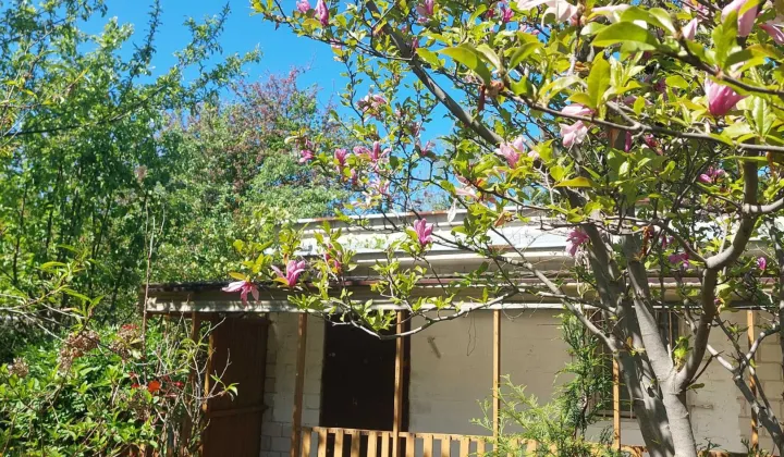 Działka rod Warszawa Ursynów, ul. Poleczki