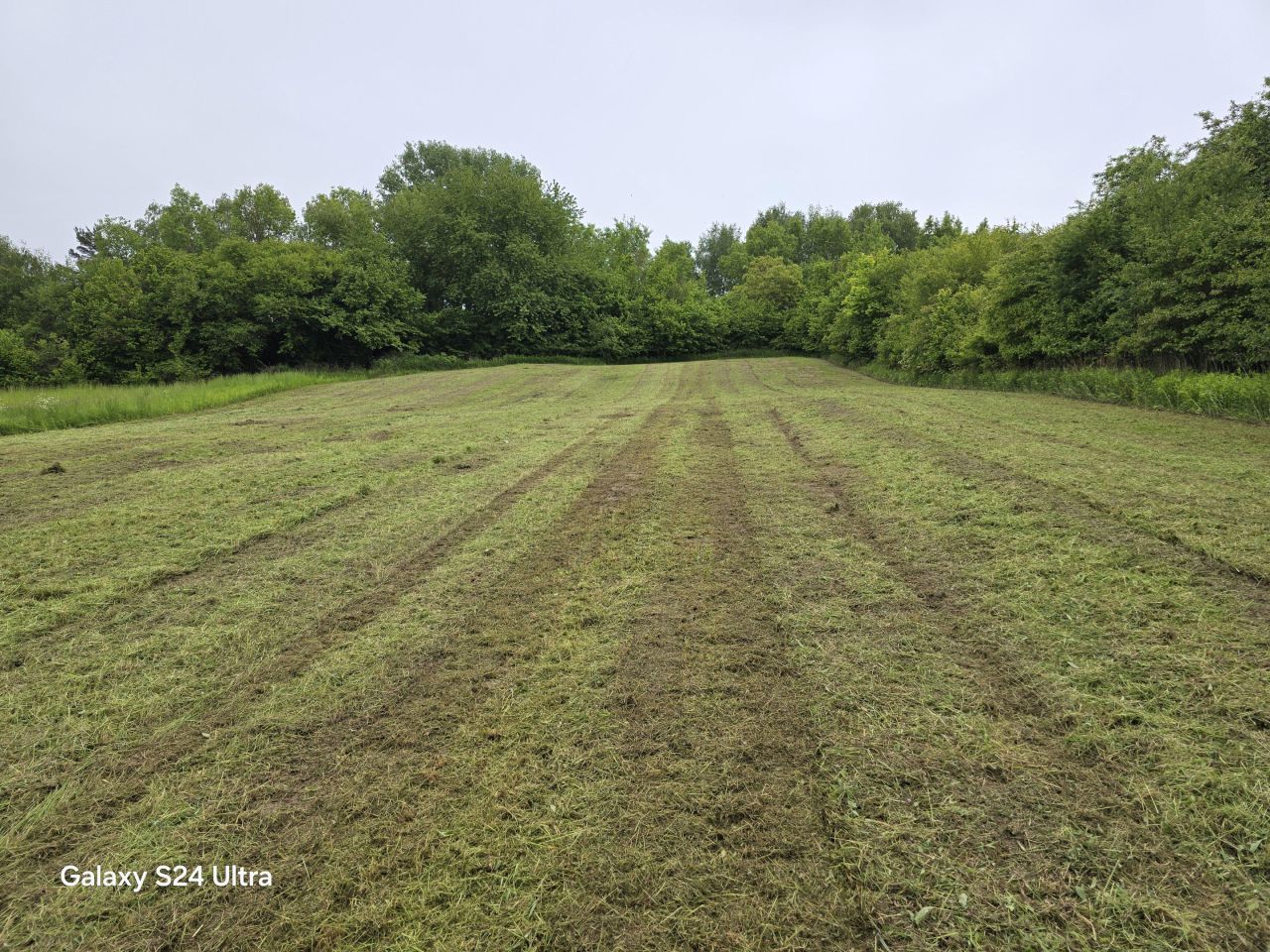 Działka rolno-budowlana Nowy Kamień. Zdjęcie 26