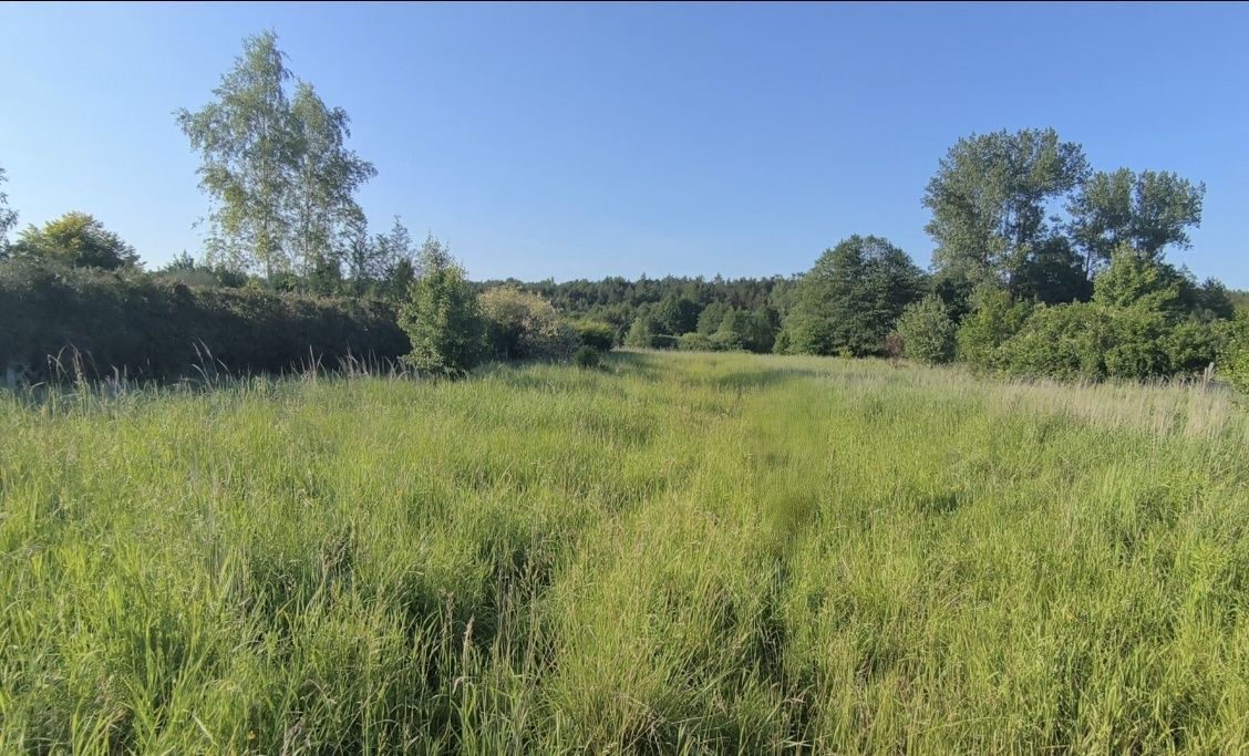 Działka budowlana Kolonia, ul. Poręba. Zdjęcie 5