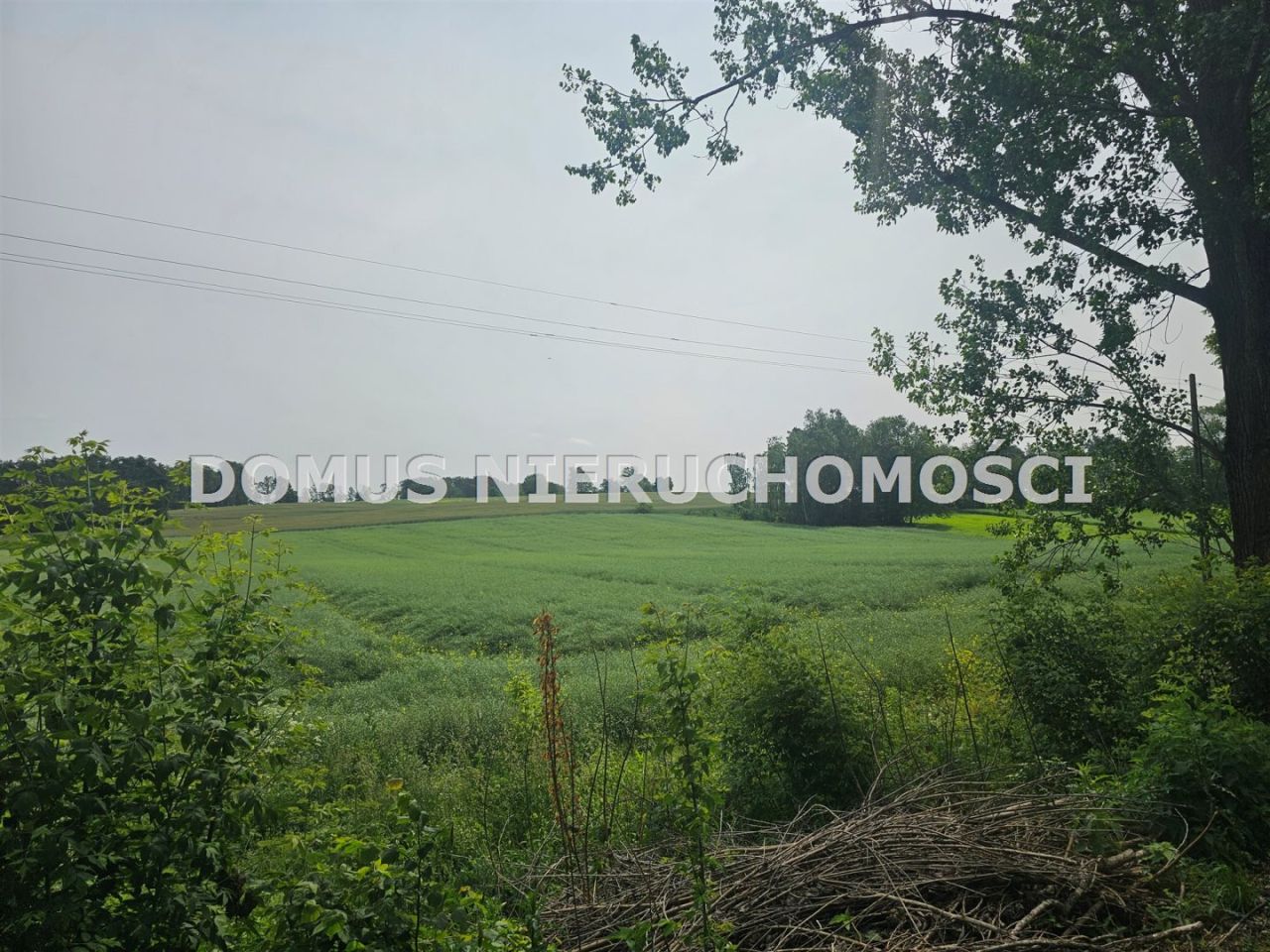 Działka rolna Gałkówek-Parcela. Zdjęcie 2