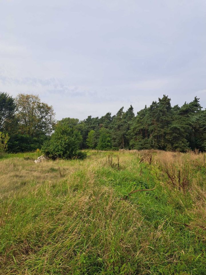 Działka budowlana Kiełczewo. Zdjęcie 7