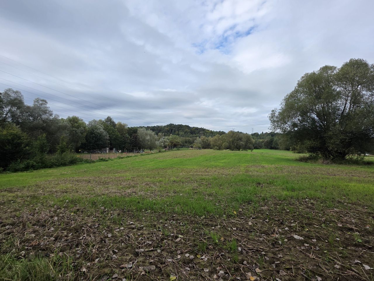 Działka inwestycyjna Krzywaczka. Zdjęcie 7