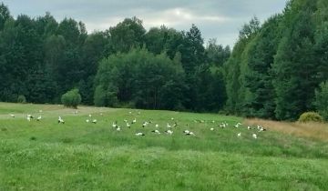 Działka rolno-budowlana Bień