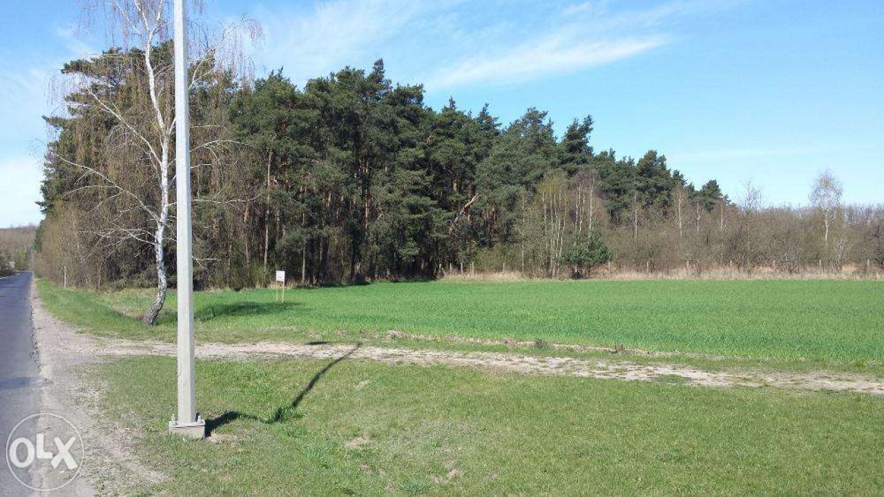 Działka budowlana Kazimierz Biskupi. Zdjęcie 3