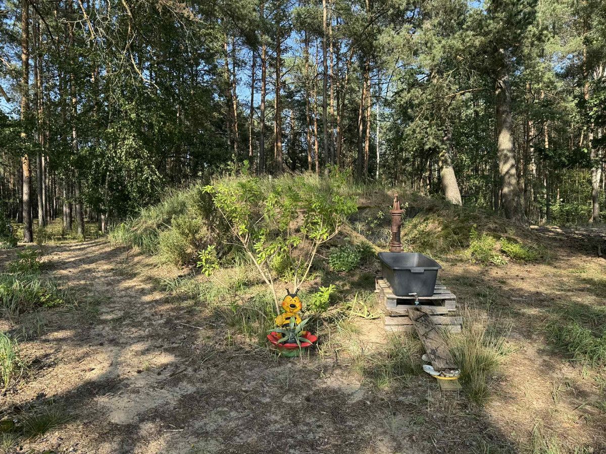 Działka rekreacyjna Golanka. Zdjęcie 22