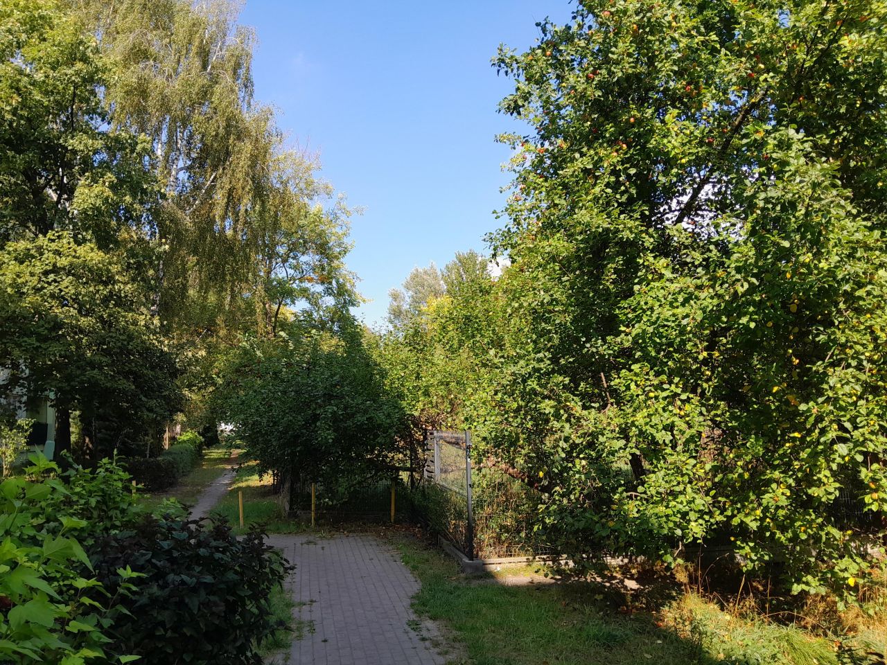 Działka inwestycyjna Łódź Widzew, ul. Zapadła. Zdjęcie 9