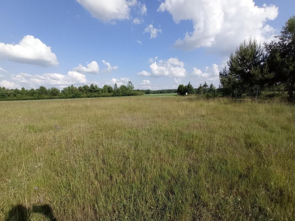 Działka budowlana Witoroż. Zdjęcie 3