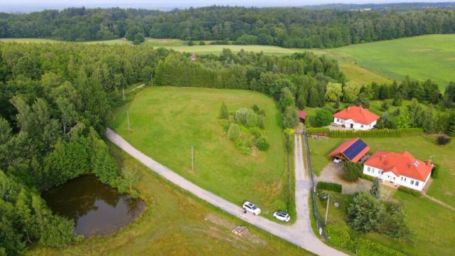 Działka rolno-budowlana Rychnowy. Zdjęcie 3