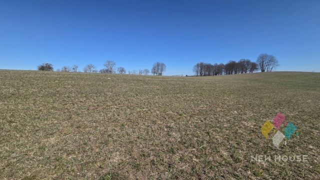 Działka rolna Woźnice. Zdjęcie 9