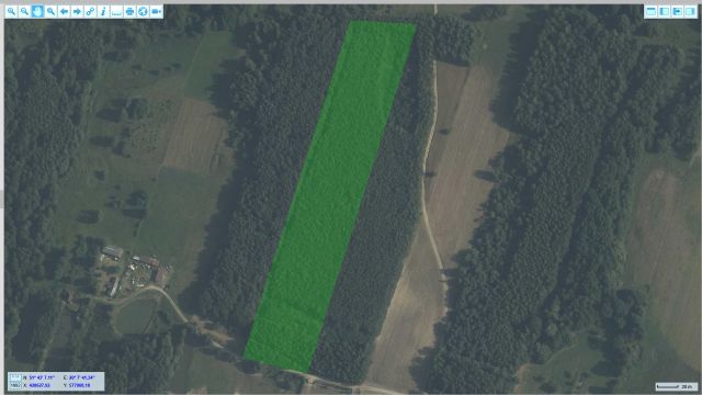 Działka leśna Nowe Byliny. Zdjęcie 1